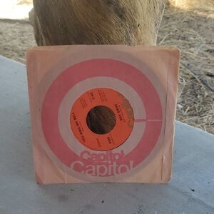 Vintage Ray Griff - "You Ring My Bell" Capitol Records 45 RPM Single Classic Hit